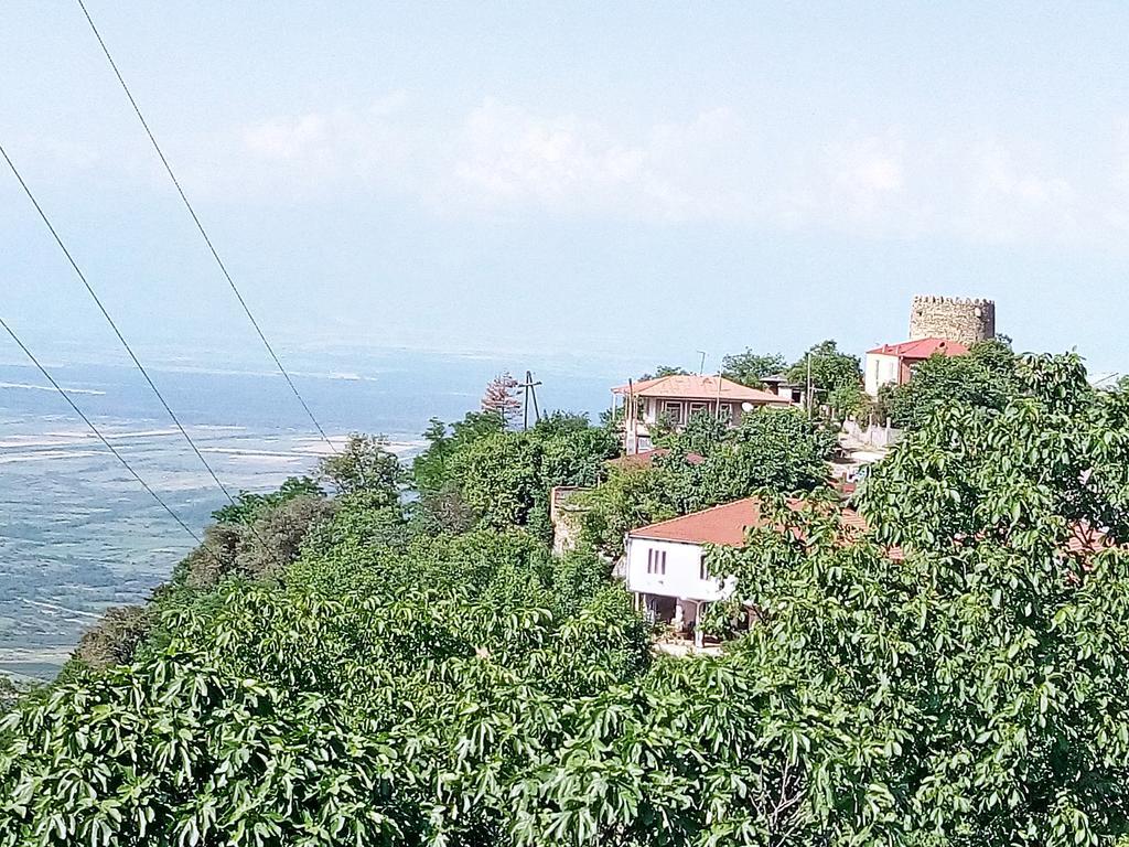 Отель Temuka Сигнахи Номер фото